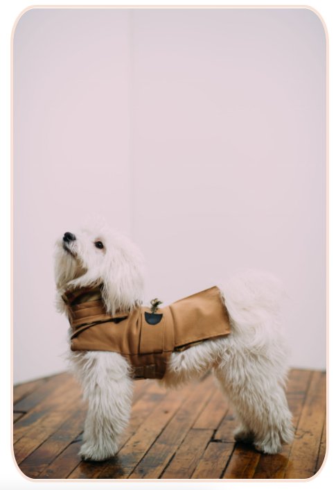 On loss, grief and my human experience... - Ariana Ost