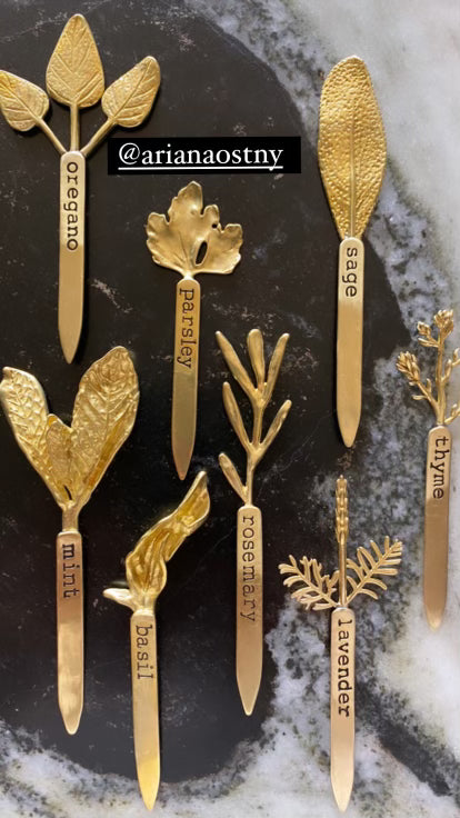 Cast Brass Herb Plant Markers Set – 4 Engraved Labels for Rosemary, Parsley, Basil, Mint - Ariana Ost 