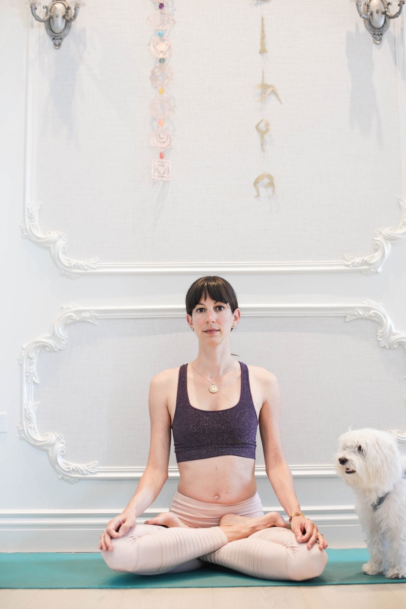 Experience A Wellness Session - Ariana Ost