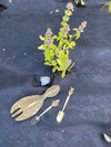 Gardening Lover Crystal Tool Bundle - Ariana Ost